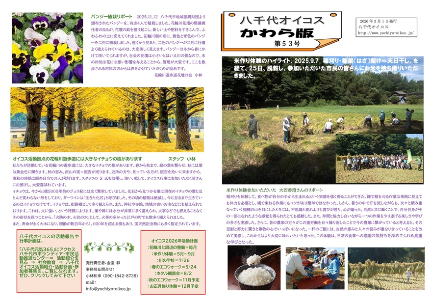 送信用かわら版５３号表面